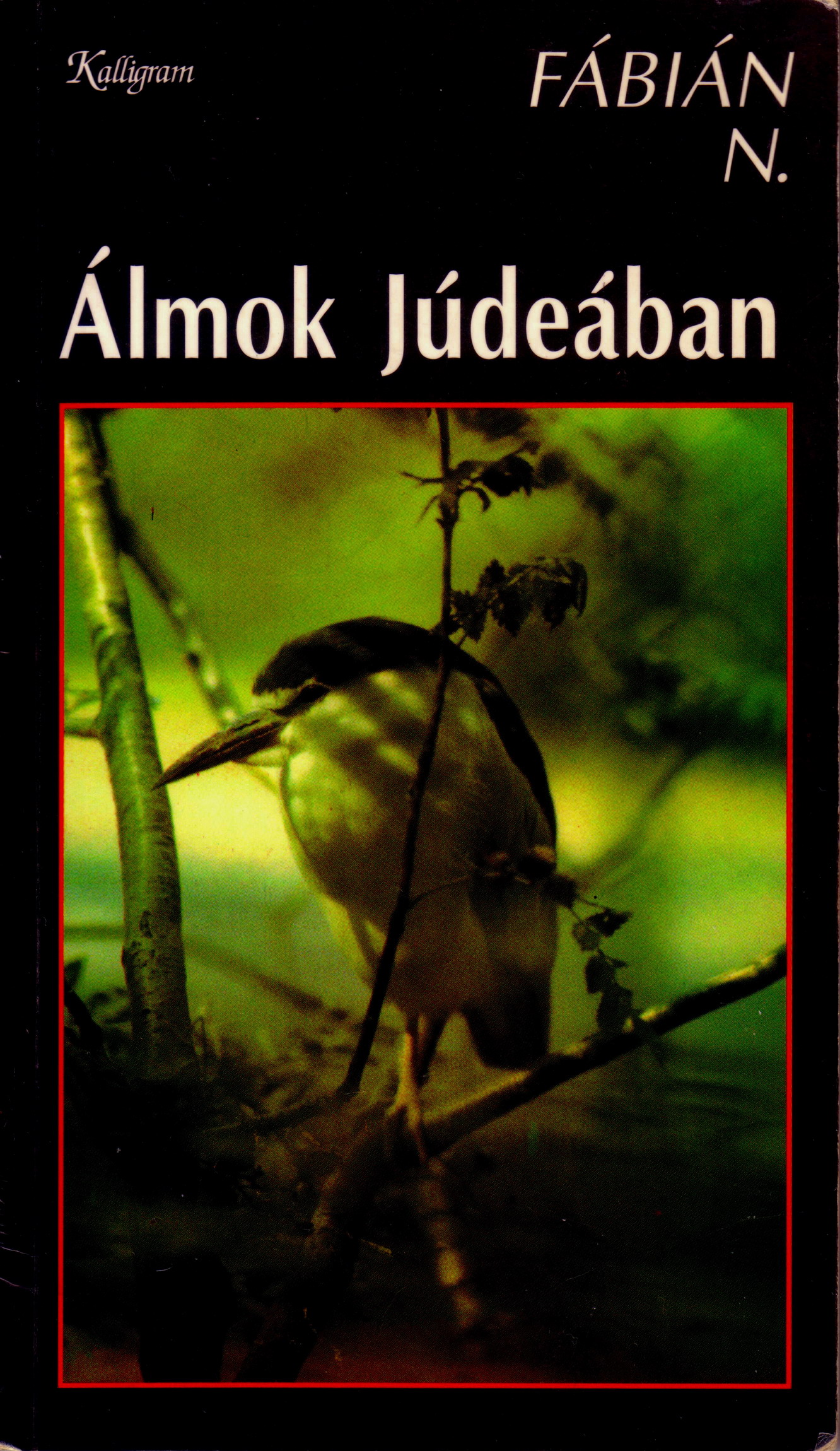Dreams In Judea